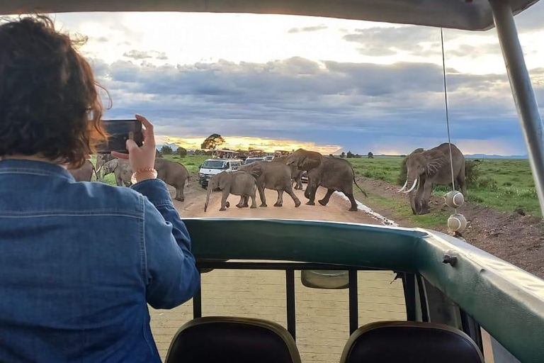 1 Night 2 Days Amboseli National park from Nairobi