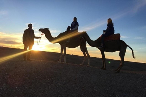 Marrakech: Agafay Desert Tour with Dinner, Camel Ride &amp; Show