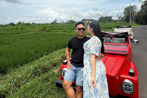 Ubud: Private Car Charter with Entry Fees Ubud Customizable Tour