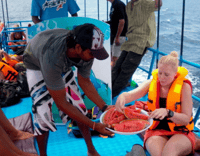 Mirissa Whale Watching Tour met gratis ontbijt aan boord - Hizvo