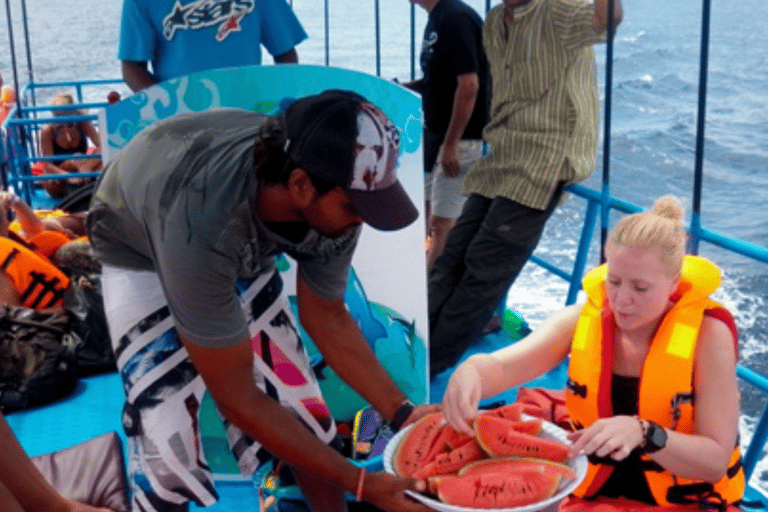 Observation des baleines à Mirissa avec petit-déjeuner gratuit à bord