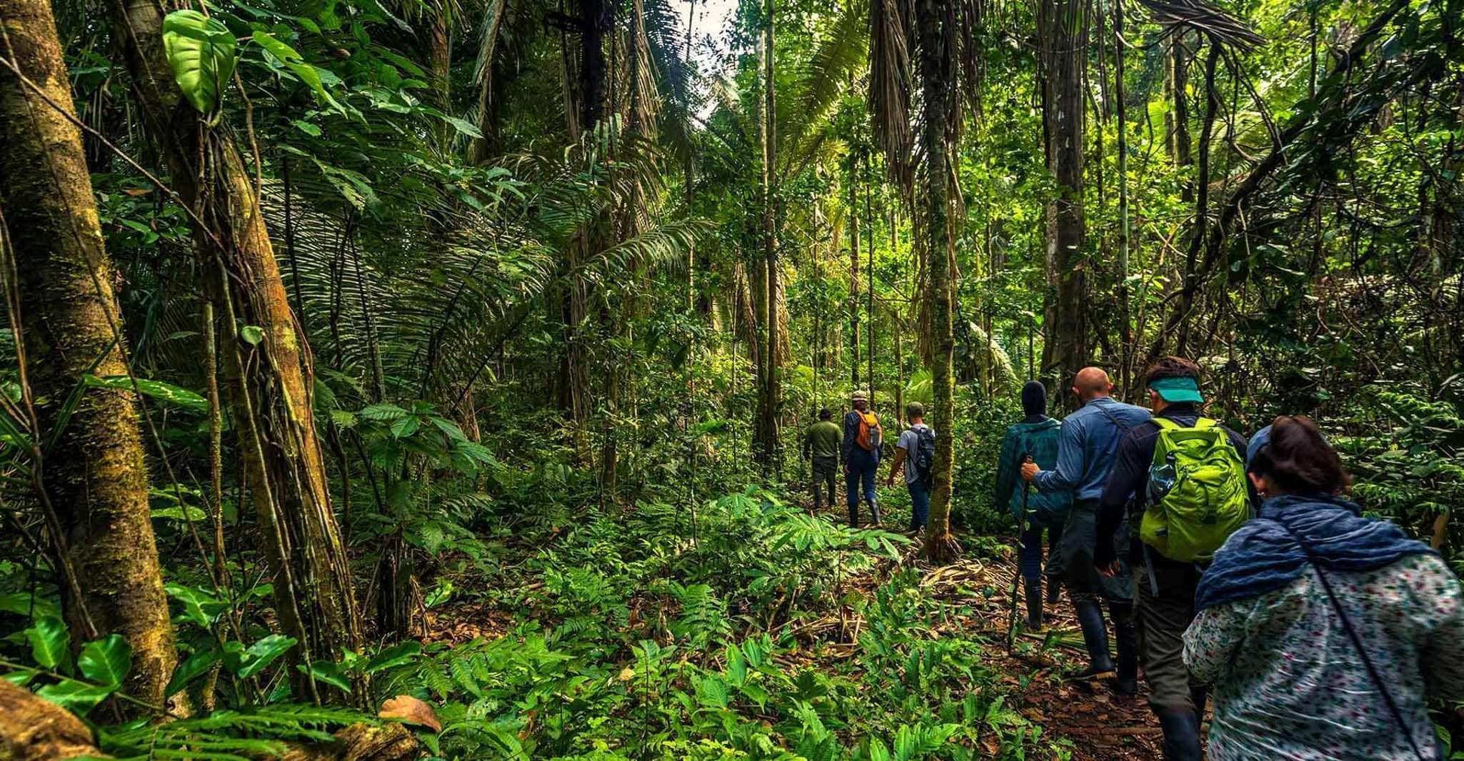 Jungle trekking + Sandoval Lake - Housity