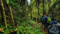 Jungle trekking + Sandoval Lake - Housity