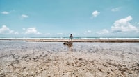 Recife, tour naar Porto de Galinhas - Housity