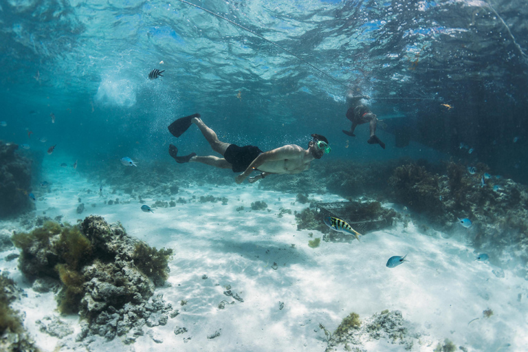 Ile Maurice Nord Est : Croisière en catamaran avec déjeuner BBQ