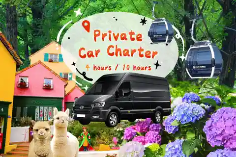 Seúl: servicio de alquiler de coche privado de medio día o día completo.