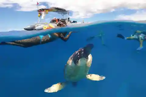 Maui: Semi-Private 3 Hour Eco-Raft Turtle Snorkel Tour