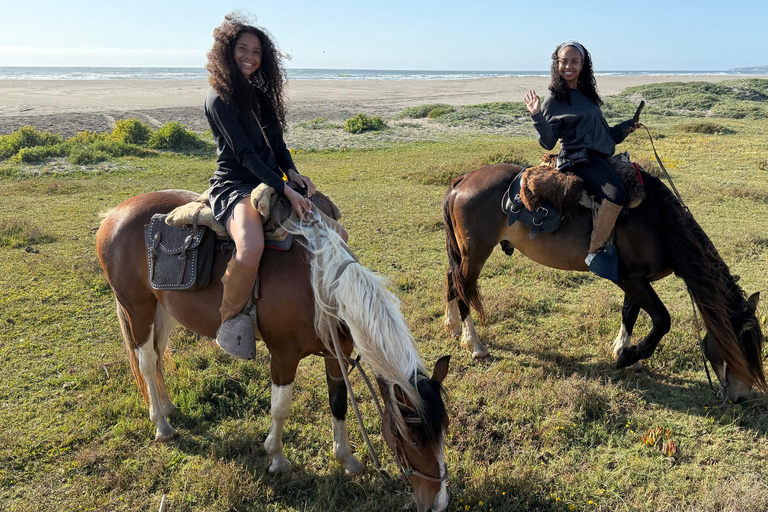 Vineyard, Valparaiso, Horseback Riding, Sea L &amp; BBQ Day Trip