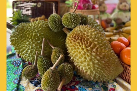Kuala Lumpur: Musang King Durian& Countryside Private Tour