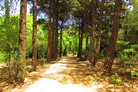 Baku: Fauna and Flora Tour