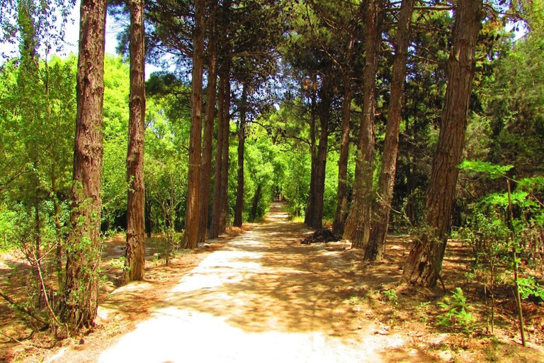 Baku: Fauna and Flora Tour