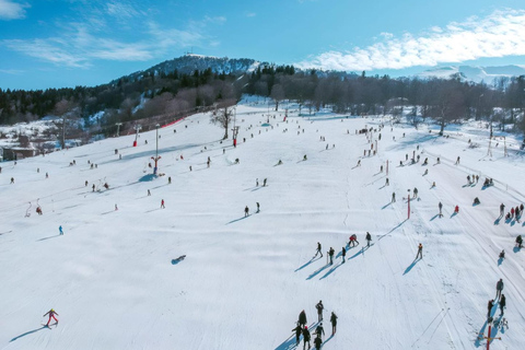 From Tbilisi: Borjomi and Bakuriani Day Trip
