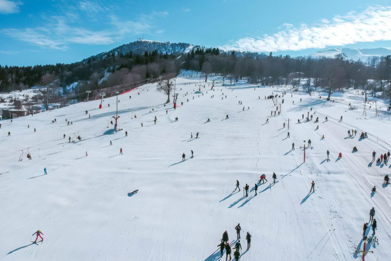 From Tbilisi: Borjomi and Bakuriani Day Trip