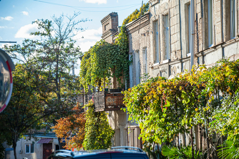 第比利斯：与 Chacha 一起徒步导览法布里卡和 Chughureti英语 - 小型团体之旅 - 3 小时