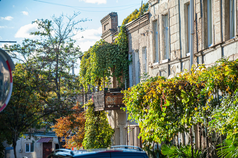 第比利斯：与 Chacha 一起徒步导览法布里卡和 Chughureti英语 - 小型团体之旅 - 3 小时