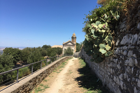 Découvrez les petites caves de brunello biologiques et biodynamiques