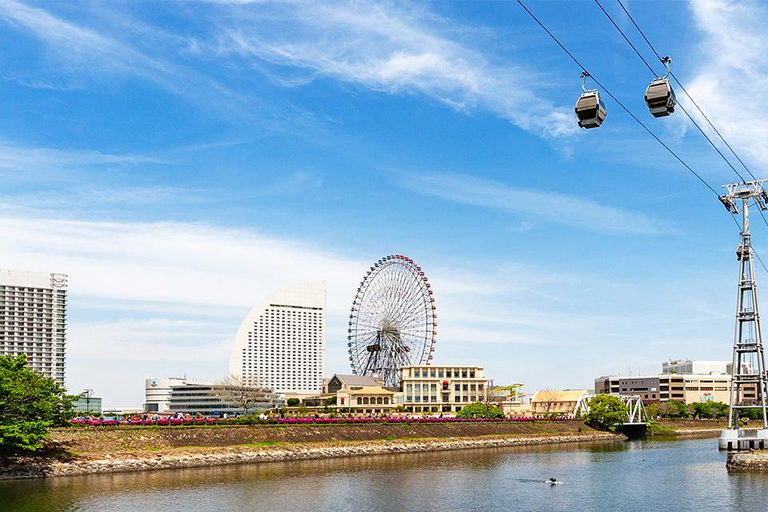 Tokyo Yokohama Night View Tour With Kamakura And Enoshima