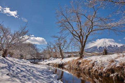 Tokyo: Mount Fuji Day Tour, Oshino Hakkai, Lake Kawaguchi Lunch Excluded | 8:30 AM from Shinjuku Station