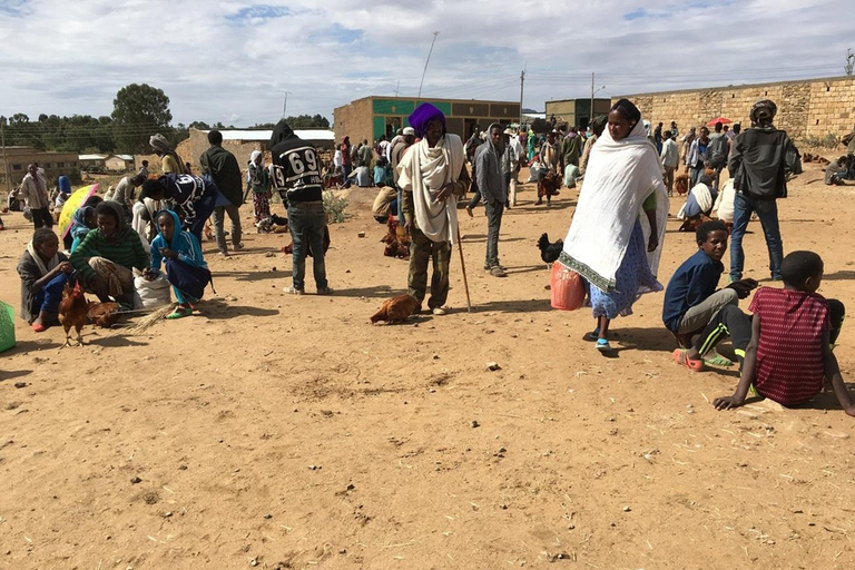 Tigray: iglesias rupestres de Gheralta, Axum y templo de YehaTigray: iglesias rupestres y montañas de Gheralta (2 días)