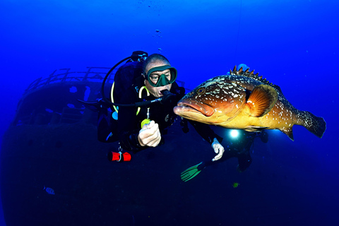 Caniço: Scuba Diving Experience for Beginners Ocean Experience