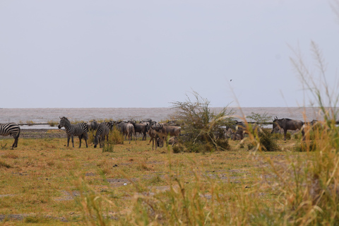 Viaggio di due giorni al Lago Manyara con canoa e passerella tra le cime degli alberiCampeggio a Karatu