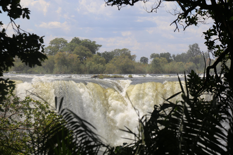 Victoria Falls Guided Tour with High Tea