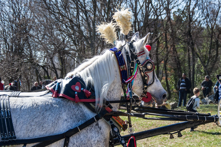 Loire Valley: Full Day Horse Ride, Grand Canal & Castle View