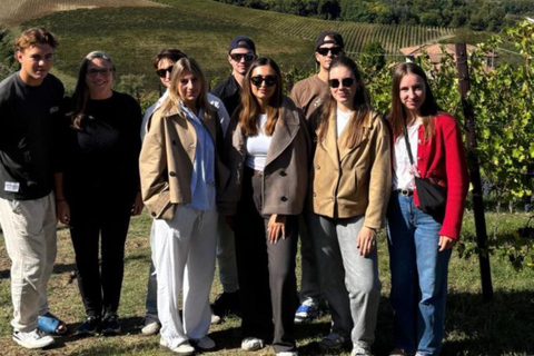 Langhe & Monferrato: Vineyard Tour and Wine Tasting