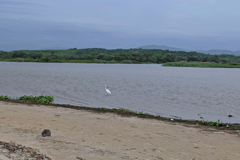 From Huatulco: Beach Horseback Riding Experience Regular Beach Horseback Riding Tour (2 hours)