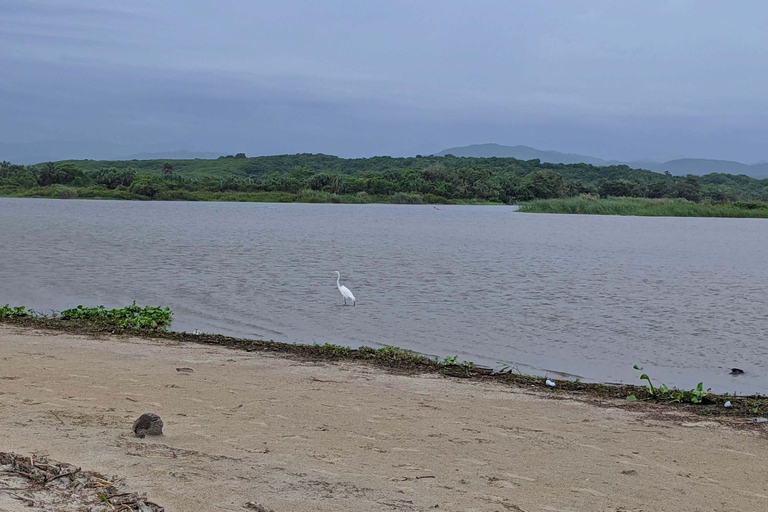 From Huatulco: Beach Horseback Riding Experience Regular Beach Horseback Riding Tour (2 hours)