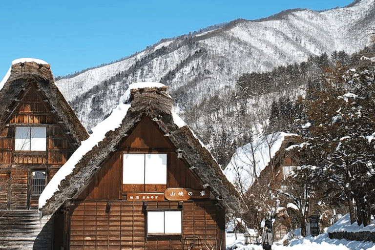 Visite à la journée de Shirakawago&amp;HidaTakayama&amp;GujoHachiman depuis Nagoya