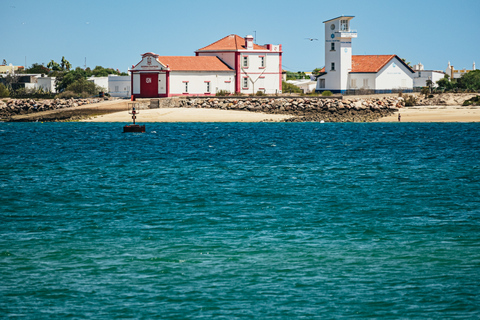 Ilha Deserta und Farol: Katamarantour ab Faro