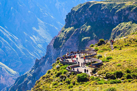 From Arequipa: Colca Canyon Tour 2 Days with End in Puno