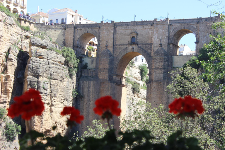 Ronda, El Tajo Gorge, and Setenil de las Bodegas from Málaga