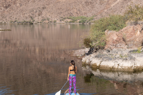 Plage de Willow : Location de paddle board
