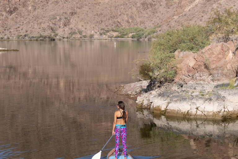 Plage de Willow : Location de paddle board