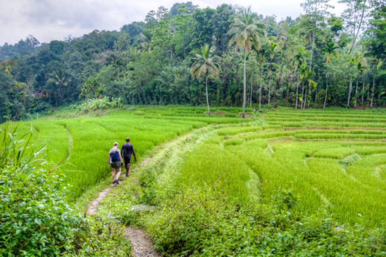 Kandy: Heeloya Village Tour with Lunch and Guide