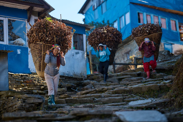 Pokhara: 2-Day Express Poon Hill Trek by Private Jeep All Inclusive With A Guide And Private Jeep