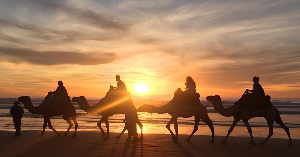 Sunset Camel Ride Agadir: Sunset Camel Ride with BBQ and Couscous | GetYourGuide