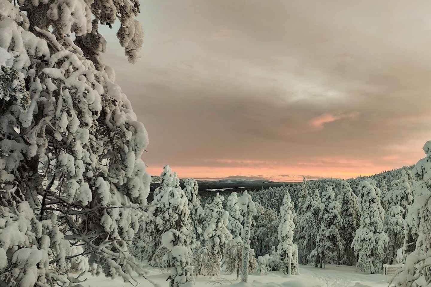 Лапландия: Частное Снегоходное Сафари с Арктическим Гидом