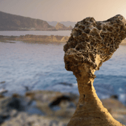 Private Full-Day Northern Taiwan Tour by Car from Taipei