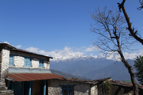 From Pokhara: Australian Camp and Dhampus Guided Day Hike