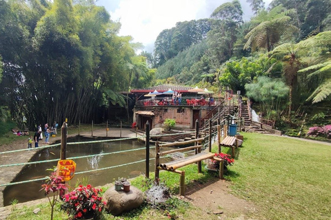 MEDELLIN : VISITE DES JARDINS + ANDES (VUE PANORAMIQUE) + ÉLEVAGE DE TRUITES