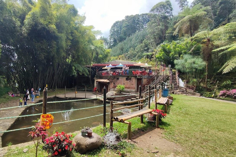 MEDELLIN : VISITE DES JARDINS + ANDES (VUE PANORAMIQUE) + ÉLEVAGE DE TRUITES