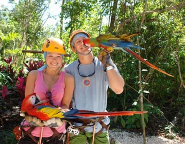 From Cancun: Extreme Canopy Adventure Tour