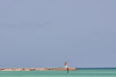 正宗杰尔巴：日落马车之旅和东方小吃正宗杰尔巴岛：日落马车之旅和免费东方小吃