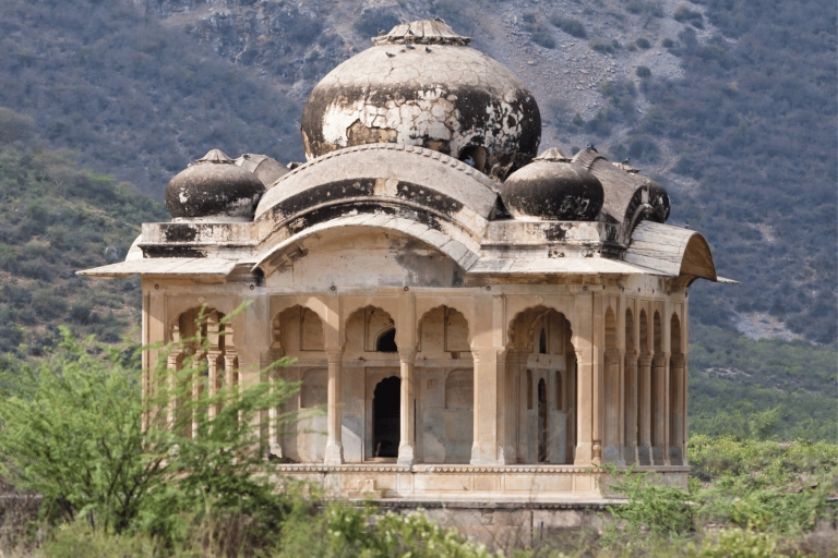Excursion guidée d'une journée à Abhaneri et Bhangarh hanté depuis Jaipur