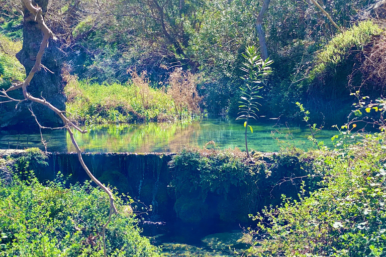 Kreta: Richtis Wasserfall Privat geführte Wanderung TourKreta: Richtis Wasserfall Private geführte Wanderung Tour