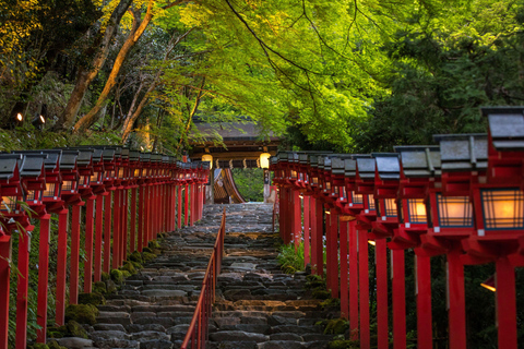 Tour privato personalizzato di Kyoto in auto con guida localeInglese