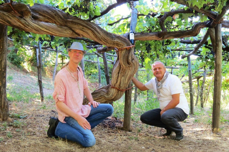 Tour romantico in tuk tuk con degustazione di vini nelle colline di Amalfi